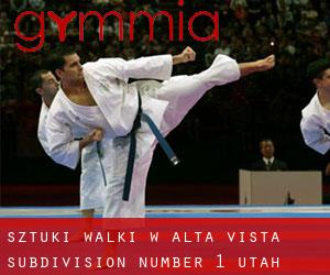 Sztuki walki w Alta Vista Subdivision Number 1 (Utah)
