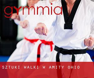 Sztuki walki w Amity (Ohio)