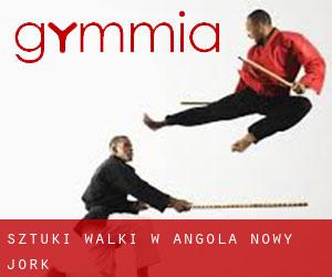Sztuki walki w Angola (Nowy Jork)
