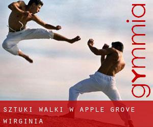 Sztuki walki w Apple Grove (Wirginia)