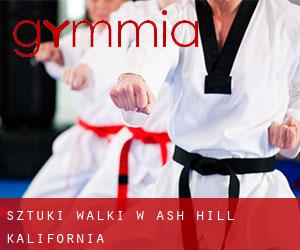 Sztuki walki w Ash Hill (Kalifornia)