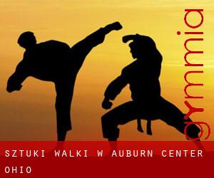 Sztuki walki w Auburn Center (Ohio)