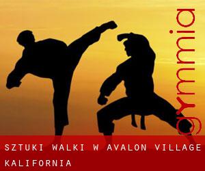 Sztuki walki w Avalon Village (Kalifornia)