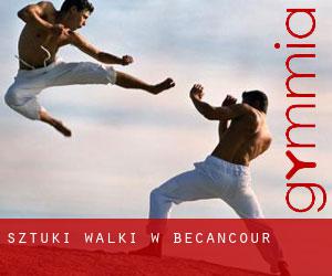 Sztuki walki w Bécancour Sztuki walki w Bécancour