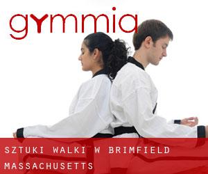 Sztuki walki w Brimfield (Massachusetts)