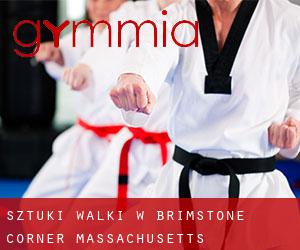Sztuki walki w Brimstone Corner (Massachusetts)