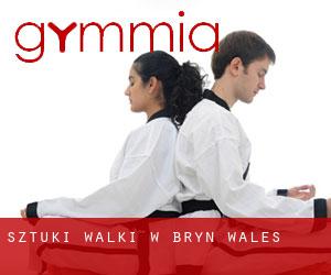 Sztuki walki w Bryn (Wales)