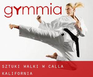 Sztuki walki w Calla (Kalifornia)