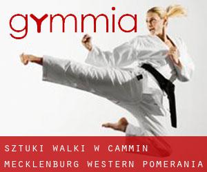 Sztuki walki w Cammin (Mecklenburg-Western Pomerania)