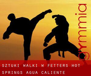 Sztuki walki w Fetters Hot Springs-Agua Caliente
