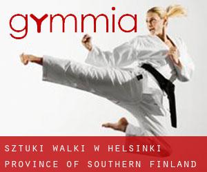 Sztuki walki w Helsinki (Province of Southern Finland)