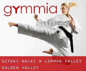 Sztuki walki w Lemmon Valley-Golden Valley