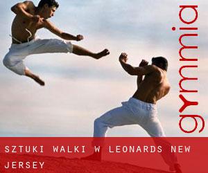 Sztuki walki w Leonards (New Jersey)