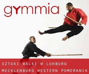 Sztuki walki w Lühburg (Mecklenburg-Western Pomerania)