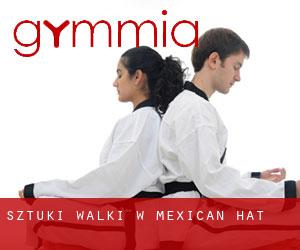 Sztuki walki w Mexican Hat