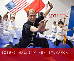 Sztuki walki w New Stuyahok