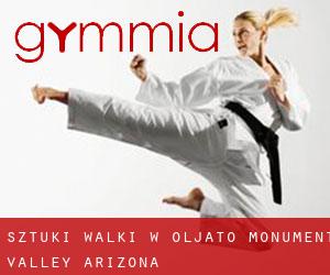 Sztuki walki w Oljato-Monument Valley (Arizona)