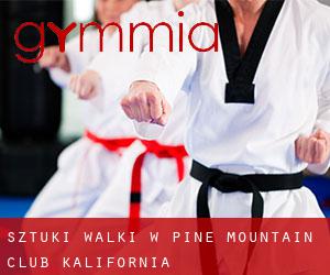 Sztuki walki w Pine Mountain Club (Kalifornia)