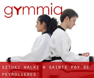 Sztuki walki w Sainte-Foy-de-Peyrolières