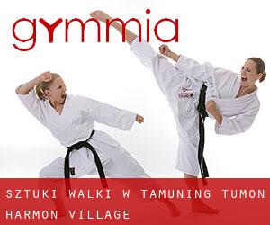 Sztuki walki w Tamuning-Tumon-Harmon Village