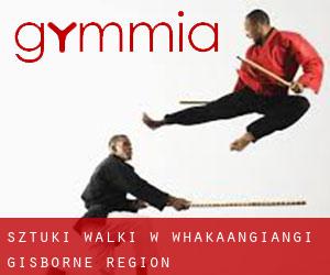 Sztuki walki w Whakaangiangi (Gisborne Region)