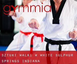 Sztuki walki w White Sulphur Springs (Indiana)