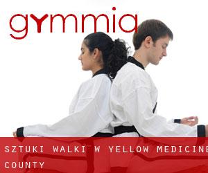 Sztuki walki w Yellow Medicine County
