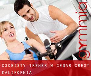 Osobisty trener w Cedar Crest (Kalifornia)