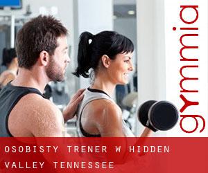 Osobisty trener w Hidden Valley (Tennessee)