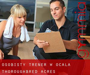 Osobisty trener w Ocala Thoroughbred Acres