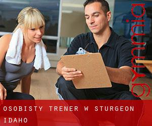Osobisty trener w Sturgeon (Idaho)