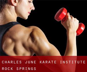 Charles June Karate Institute (Rock Springs)