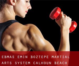 EBMAS - Emin Boztepe Martial Arts System (Calhoun Beach)