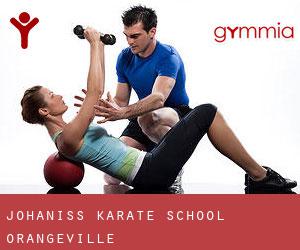 Johanis's Karate School (Orangeville)
