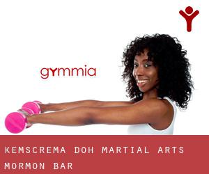 Kemscrema-Doh Martial Arts (Mormon Bar)