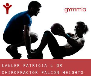 Lawler Patricia L Dr Chiropractor (Falcon Heights)