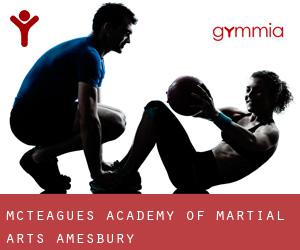 McTeague's Academy of Martial Arts (Amesbury)