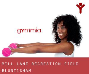 Mill Lane Recreation Field (Bluntisham)