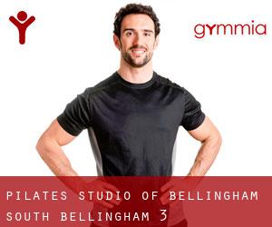 Pilates Studio of Bellingham (South Bellingham) #3