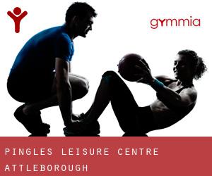 Pingles Leisure Centre (Attleborough)