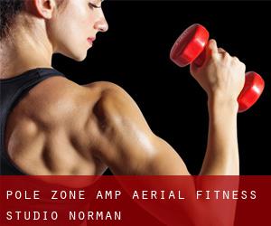 Pole Zone & Aerial Fitness Studio (Norman)