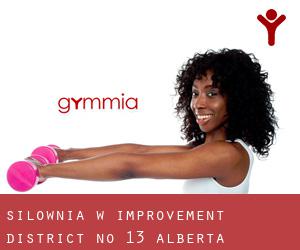 siłownia w Improvement District No. 13 (Alberta)