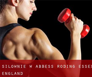 siłownie w Abbess Roding (Essex, England)