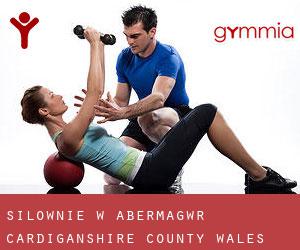 siłownie w Abermagwr (Cardiganshire County, Wales)