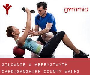 siłownie w Aberystwyth (Cardiganshire County, Wales)