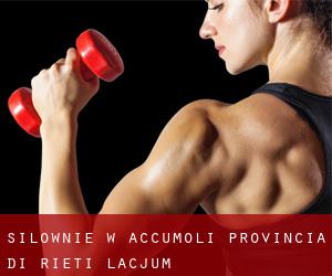 siłownie w Accumoli (Provincia di Rieti, Lacjum)