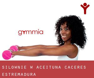siłownie w Aceituna (Caceres, Estremadura)