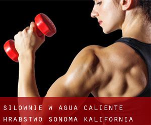 siłownie w Agua Caliente (Hrabstwo Sonoma, Kalifornia)