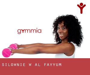 siłownie w Al Fayyūm