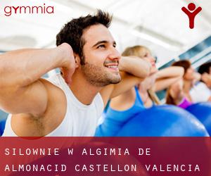 siłownie w Algimia de Almonacid (Castellon, Valencia)